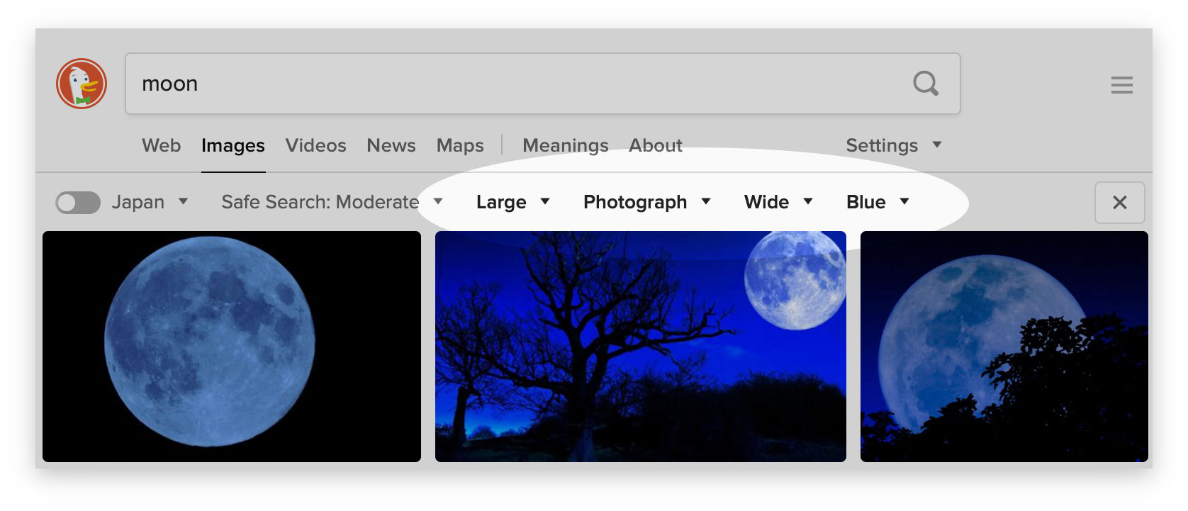 Screenshot showing the image filters in DuckDuckGo Search.